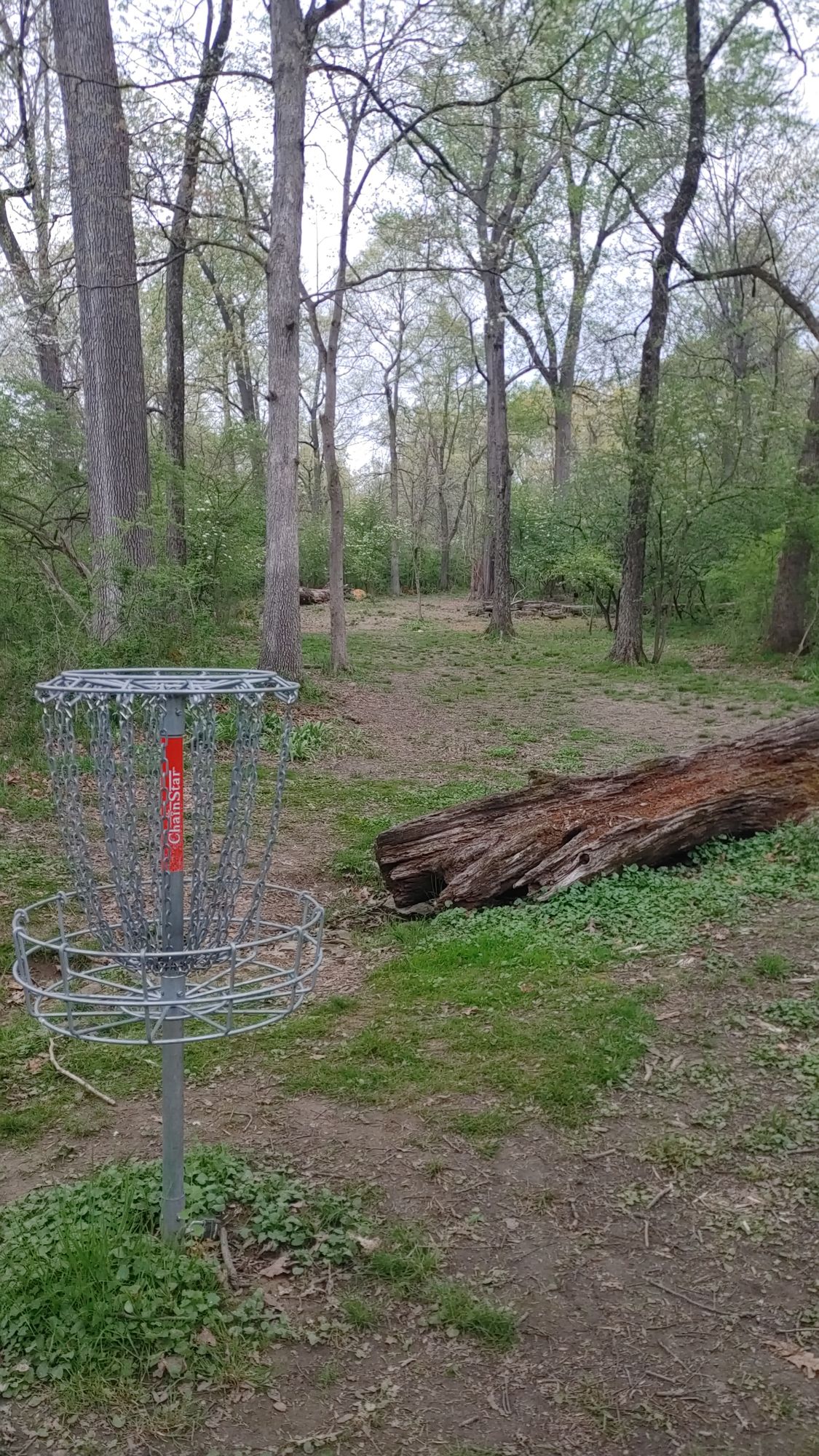 Hole 13