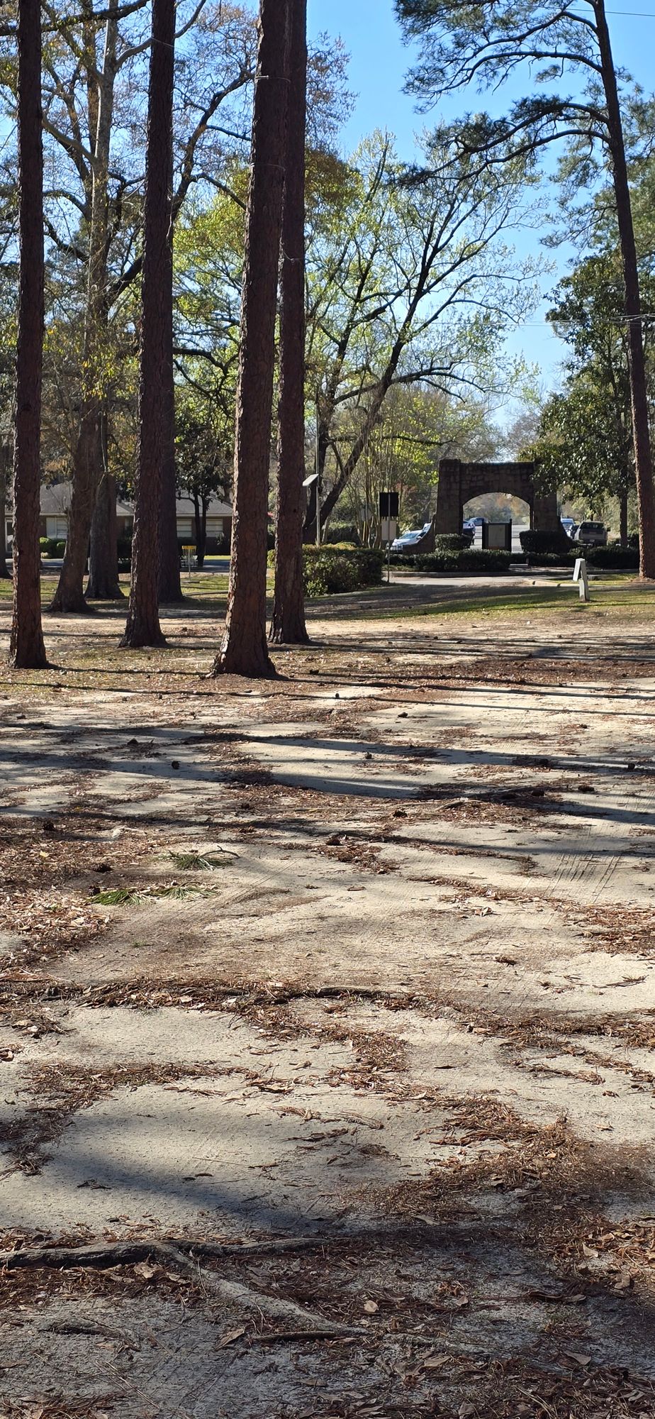 From hole 7 short pad