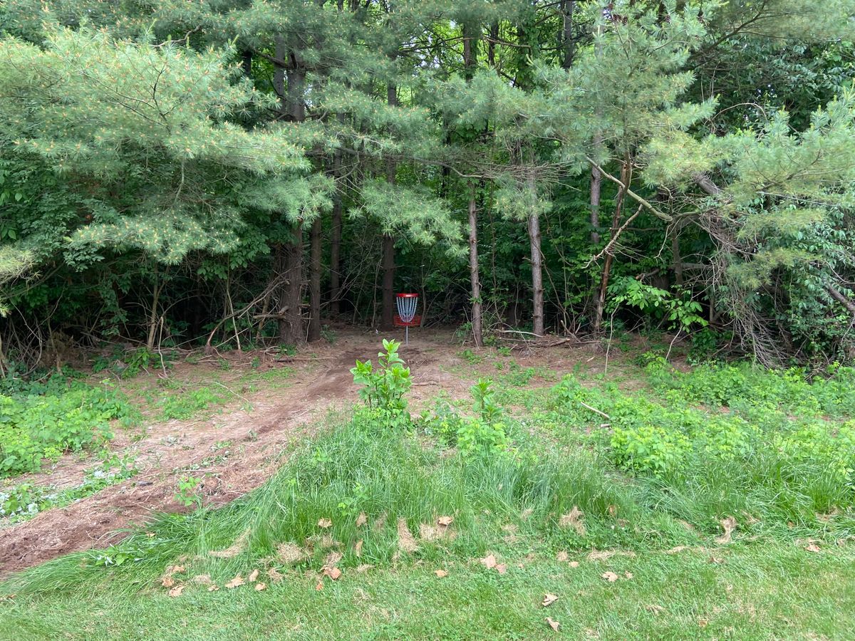 Hole 7 basket
