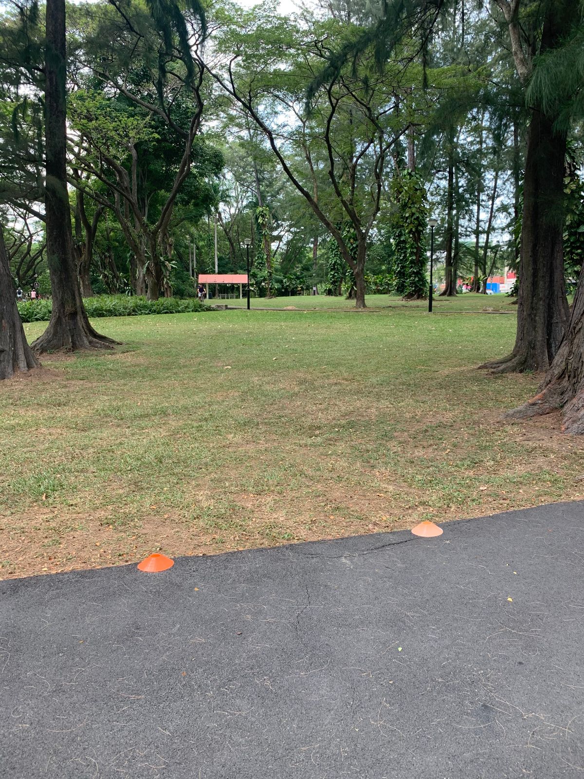 Hole 7 Tee