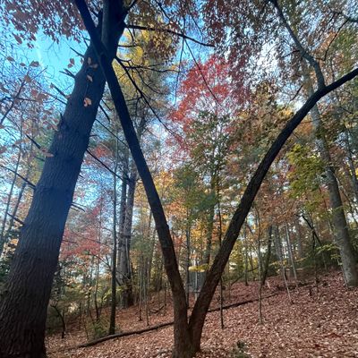 Signature Vtree Ace run Hole 4