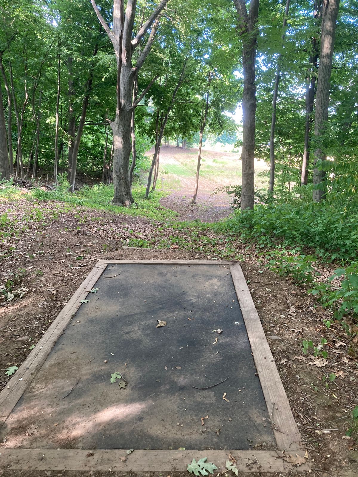 Hole 7 tee