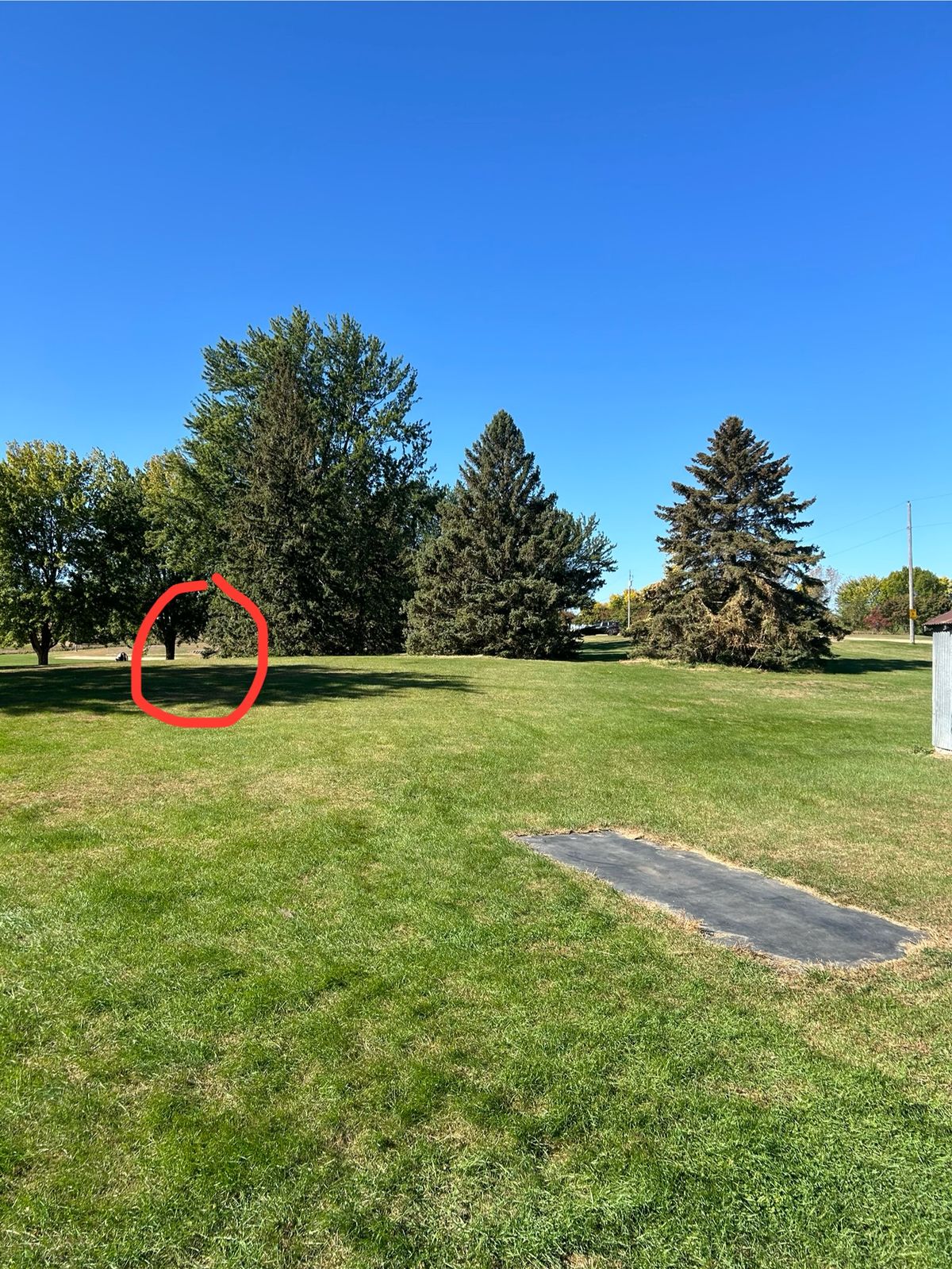 Hole 9 teepad