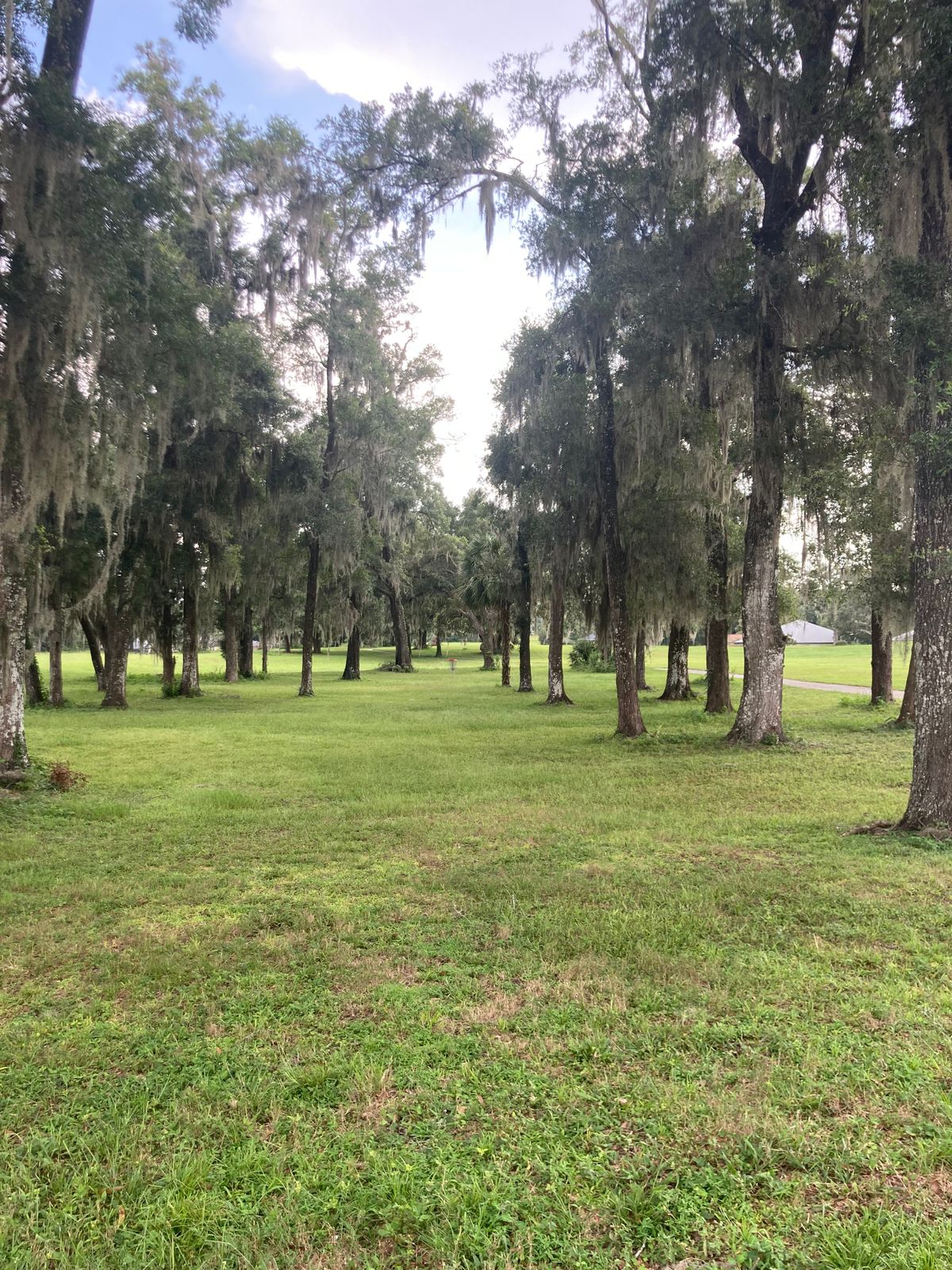 Hole 1 Basket