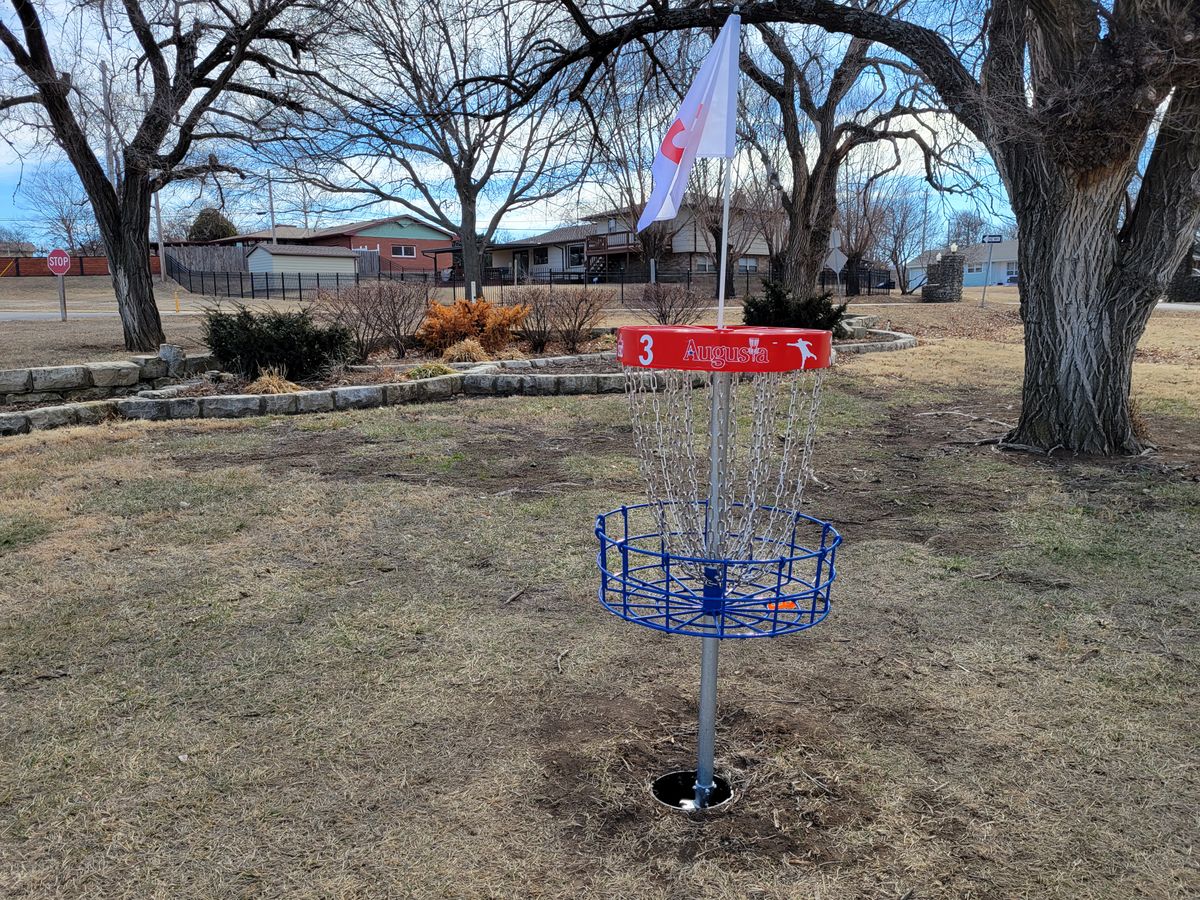 Hole 3 Basket Long Placement green