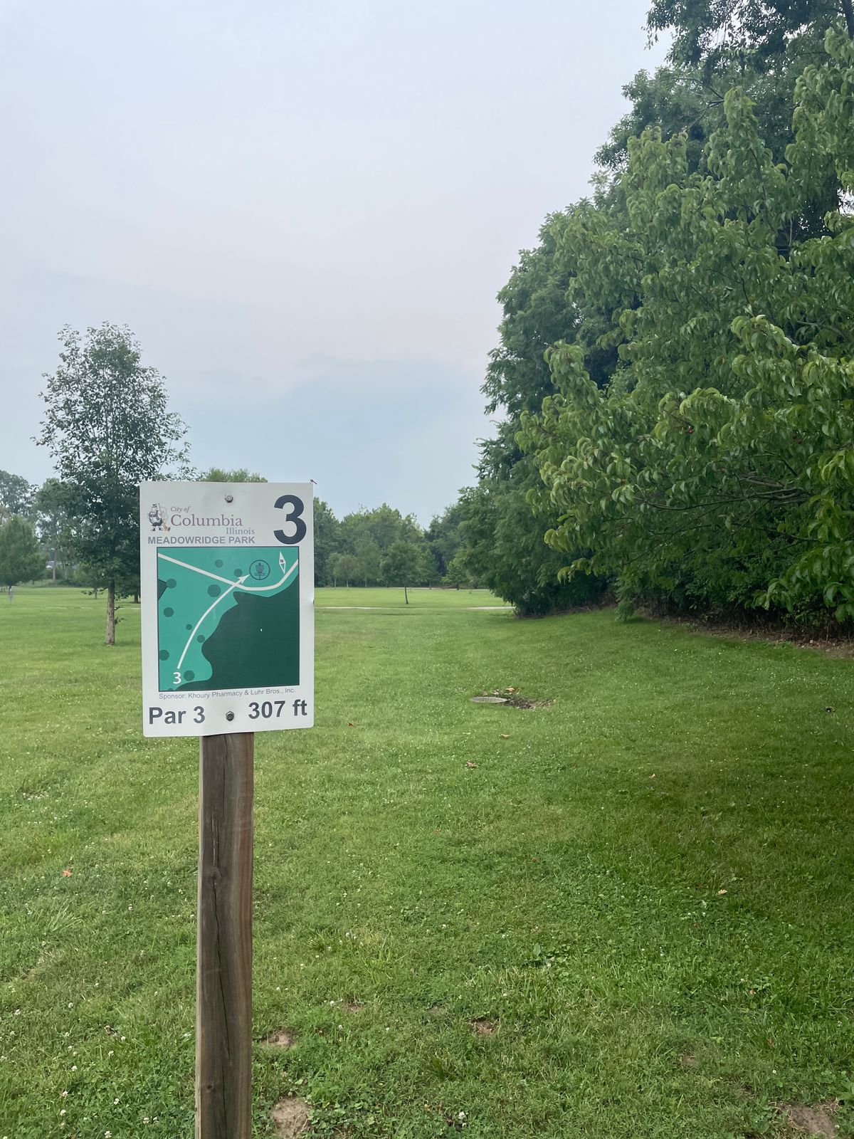 The basket is off to the right past the trees.