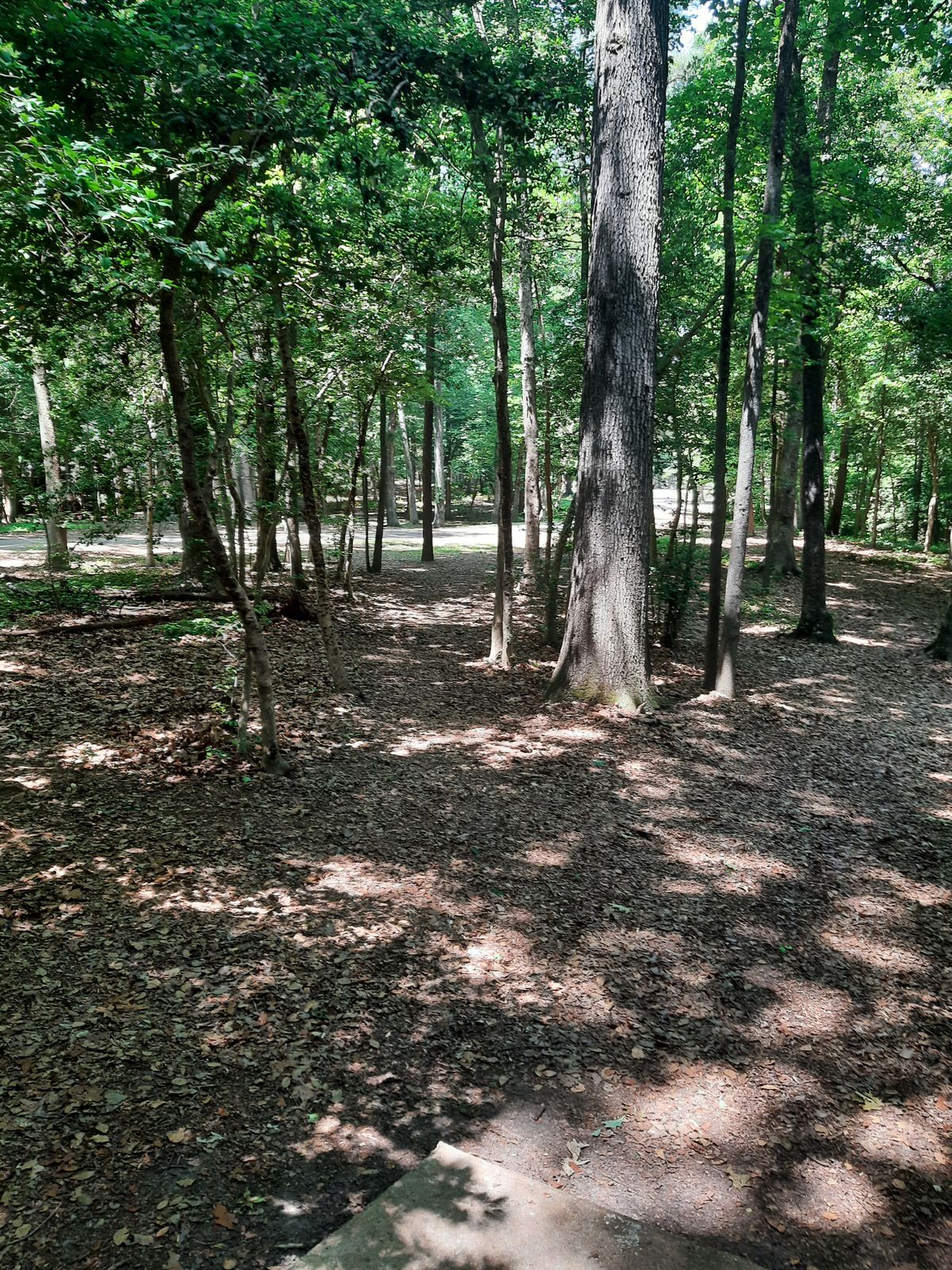 Hole 9 White Tee Side Path