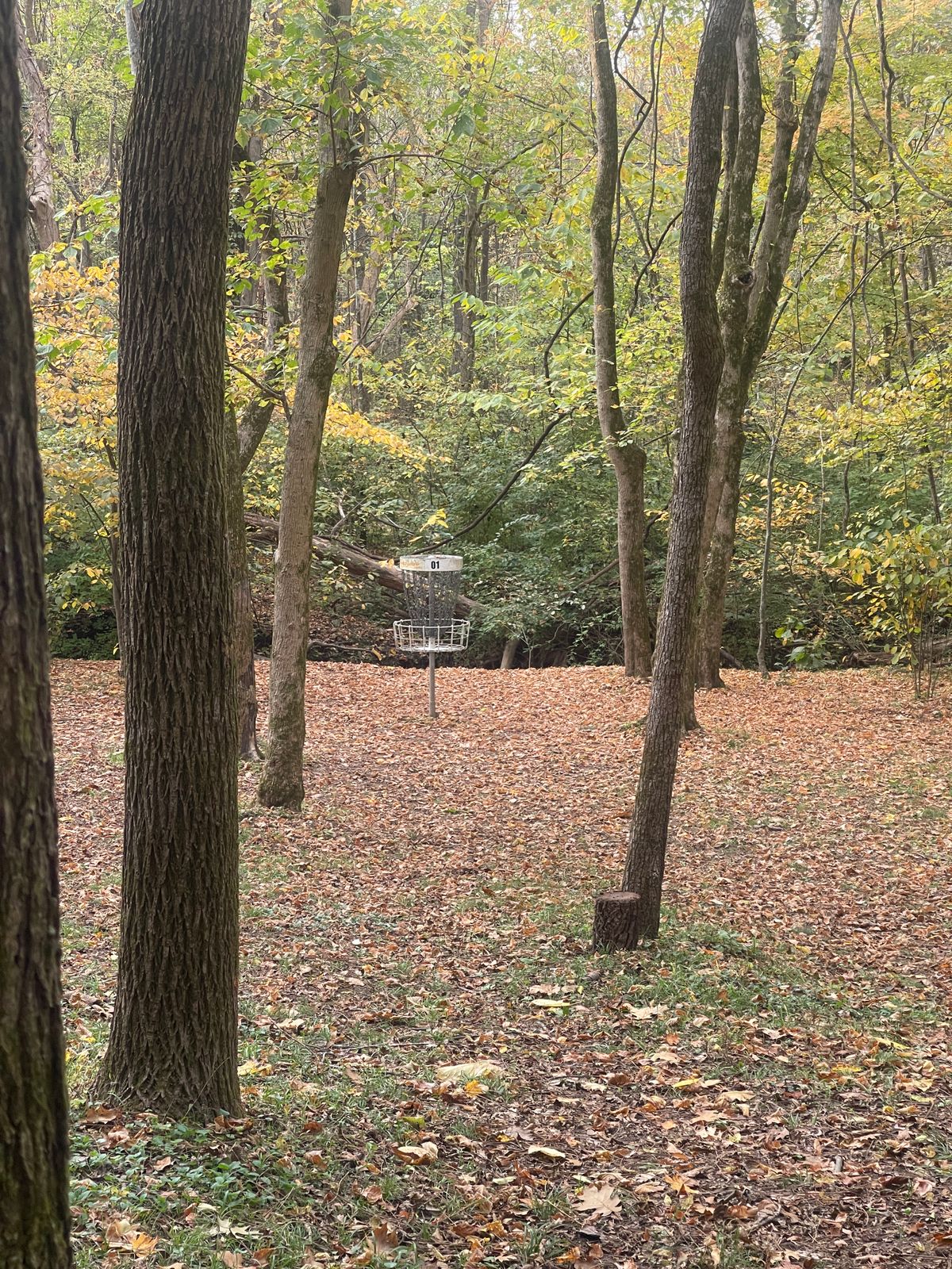 Hole 1