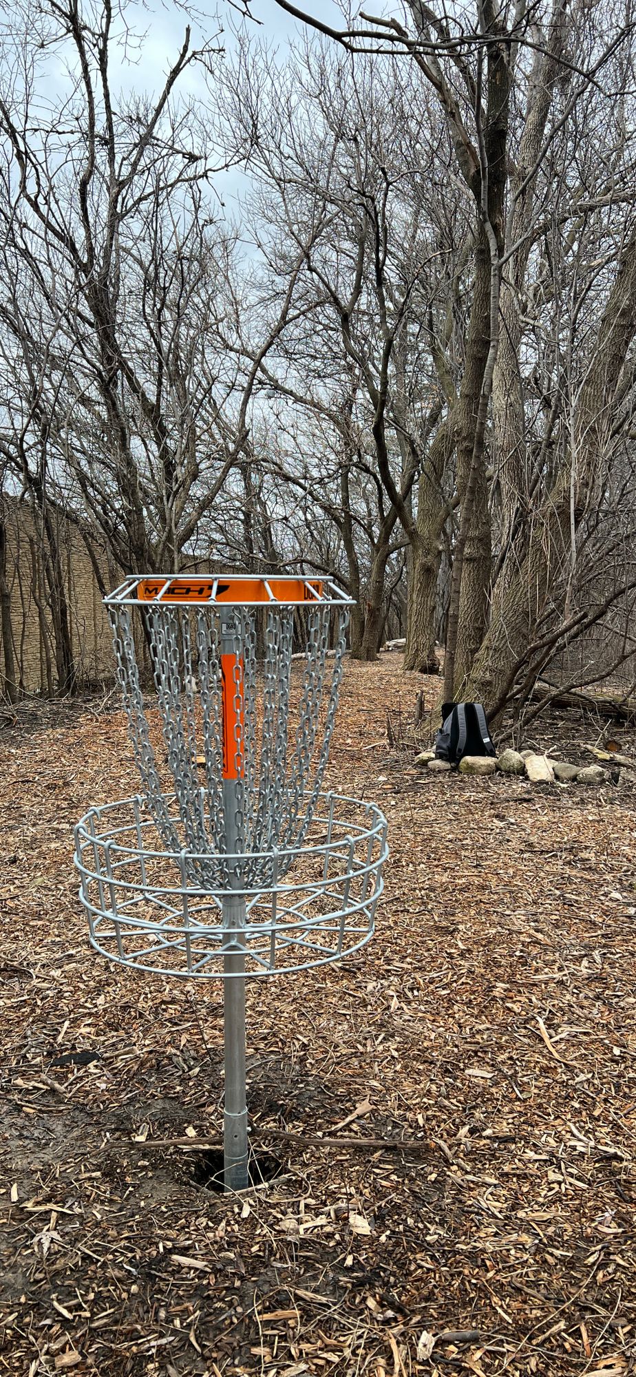 New hole in the wooded area