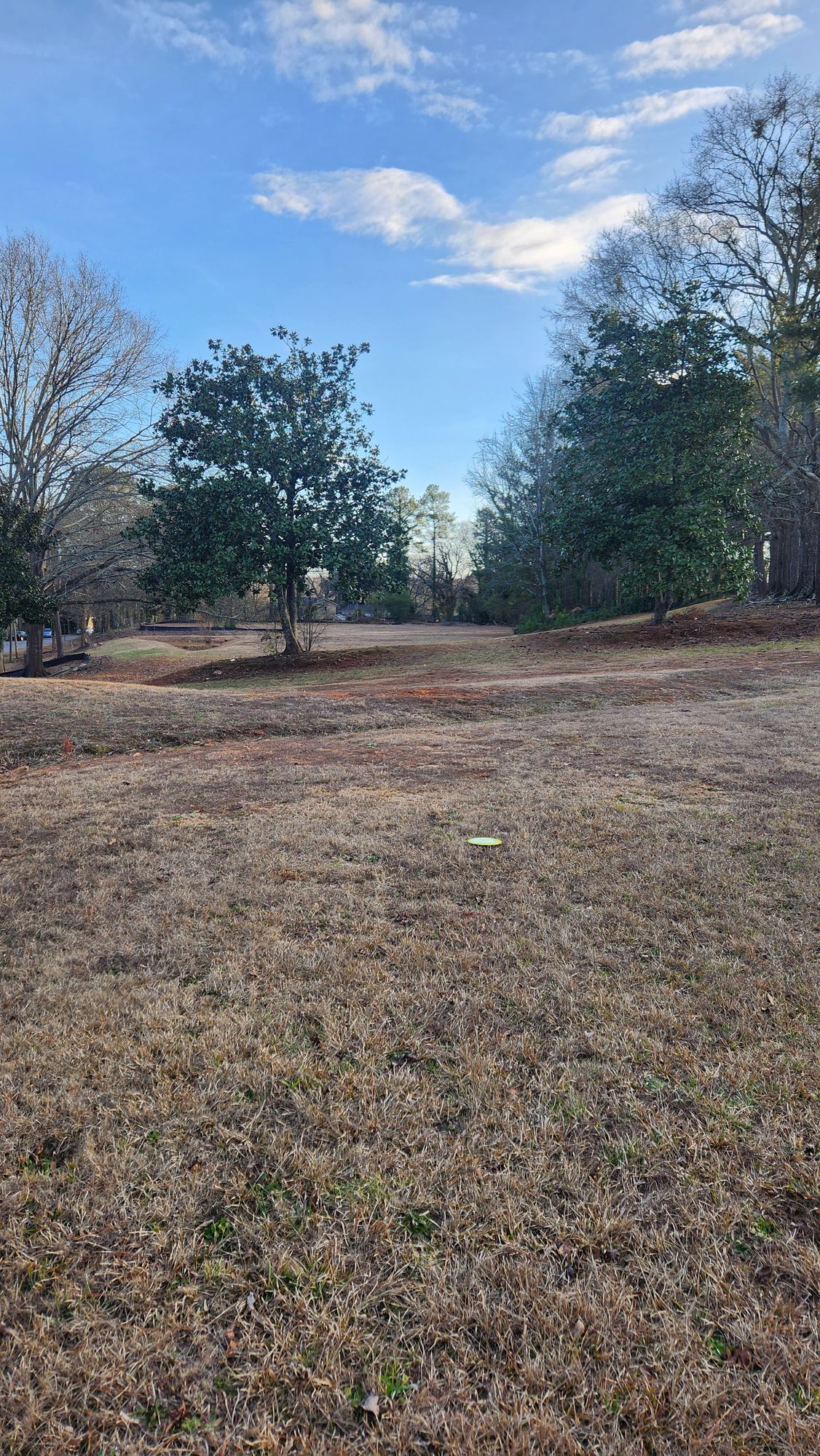 Hole 2 view just past the Tee Pad. Double tree Mando. Basket is located on the left edge of the first retention pond.  Road to the left is OB and tree line to the right is OB.