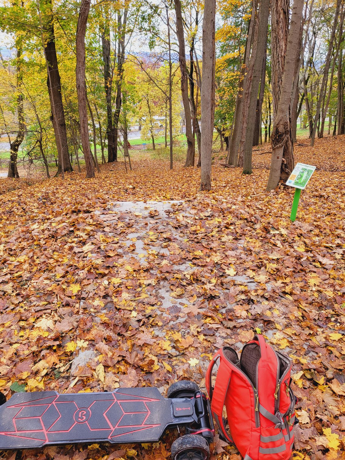 In the woods