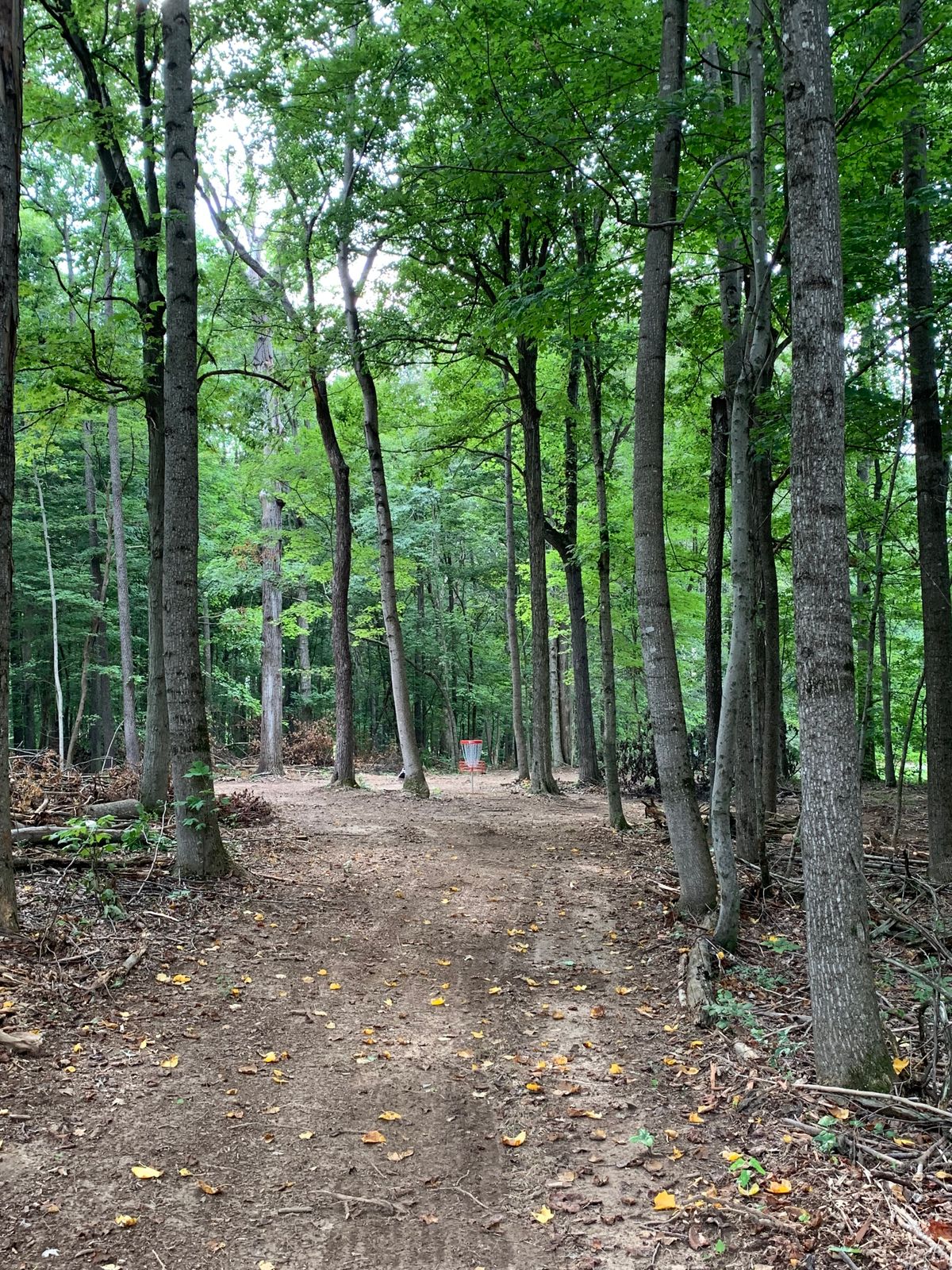 Hole 9 basket.