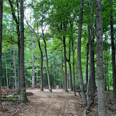 Hole 9 basket.