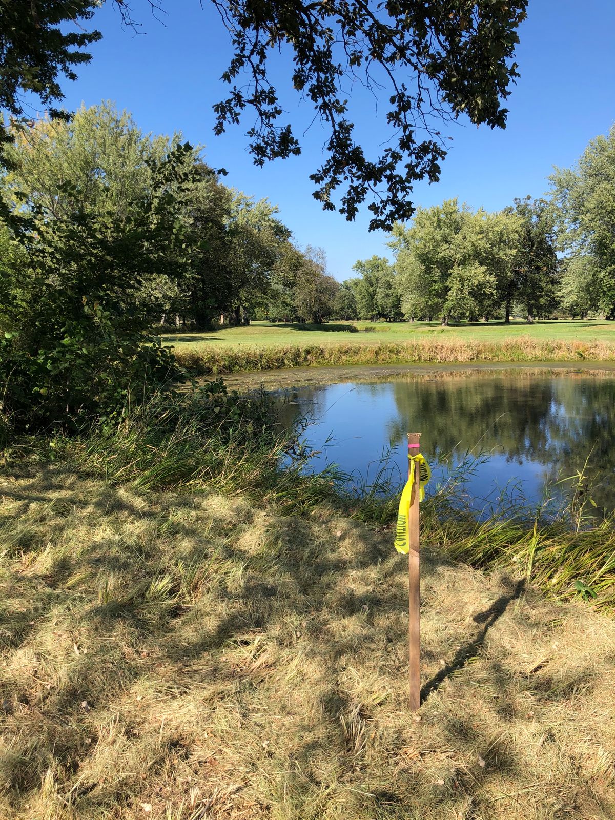 #13 tee