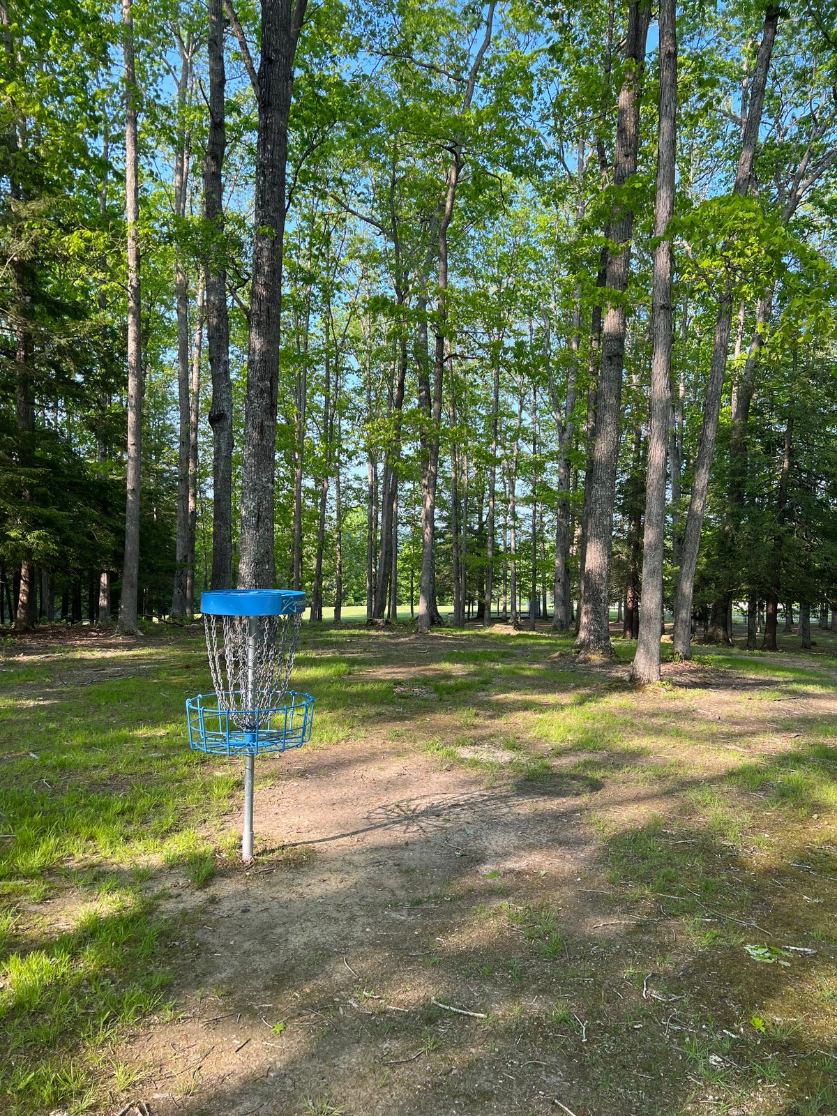 Hole 1 Basket to Tee
