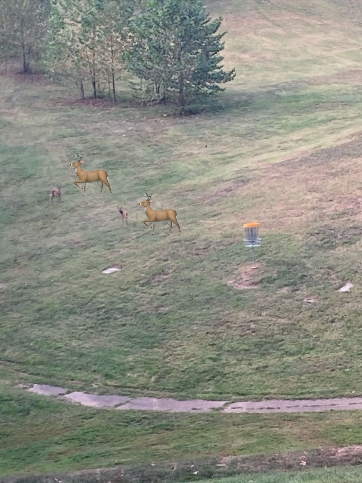Obstacles on hole 16 🦌