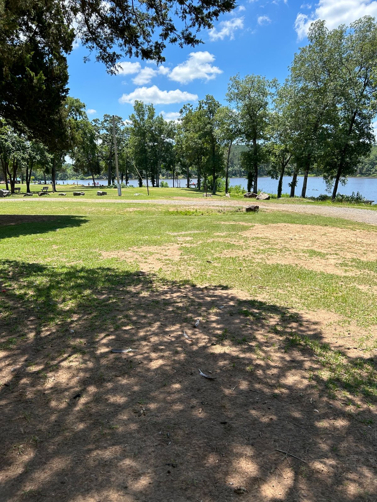 Hole 4 tee