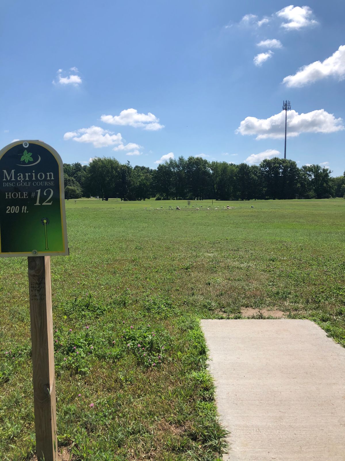 Hole 12