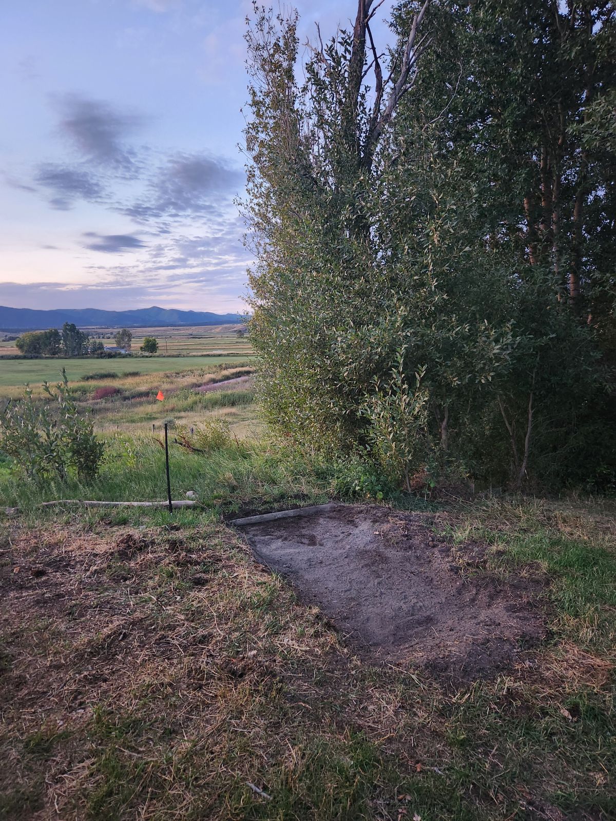 Tee pad 1