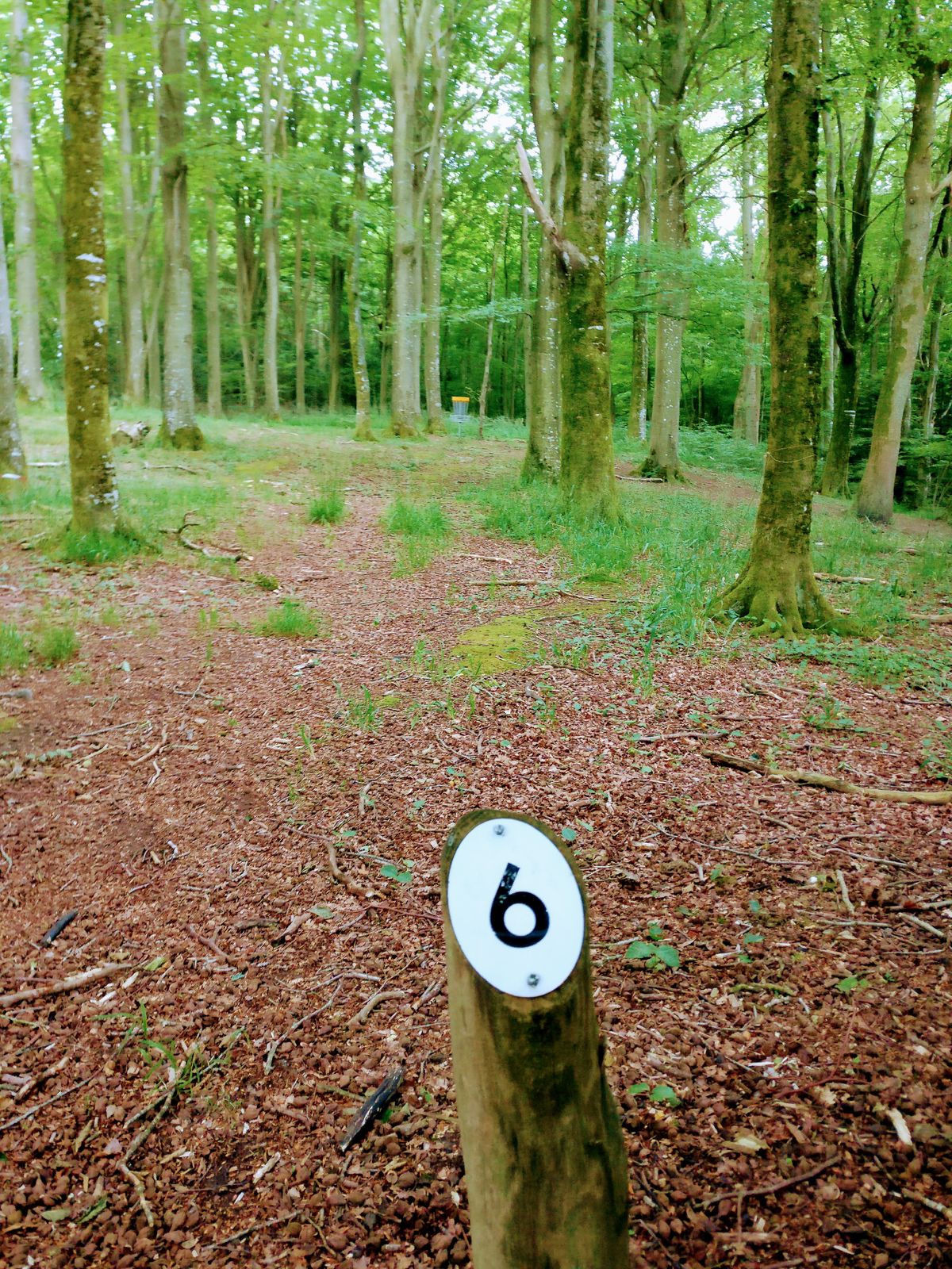 Hole 6