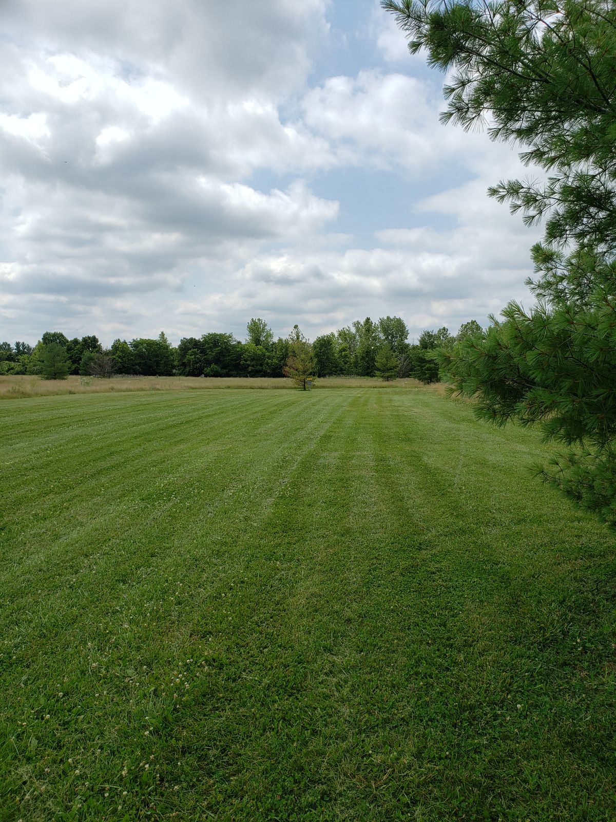 #12 Green Approach.