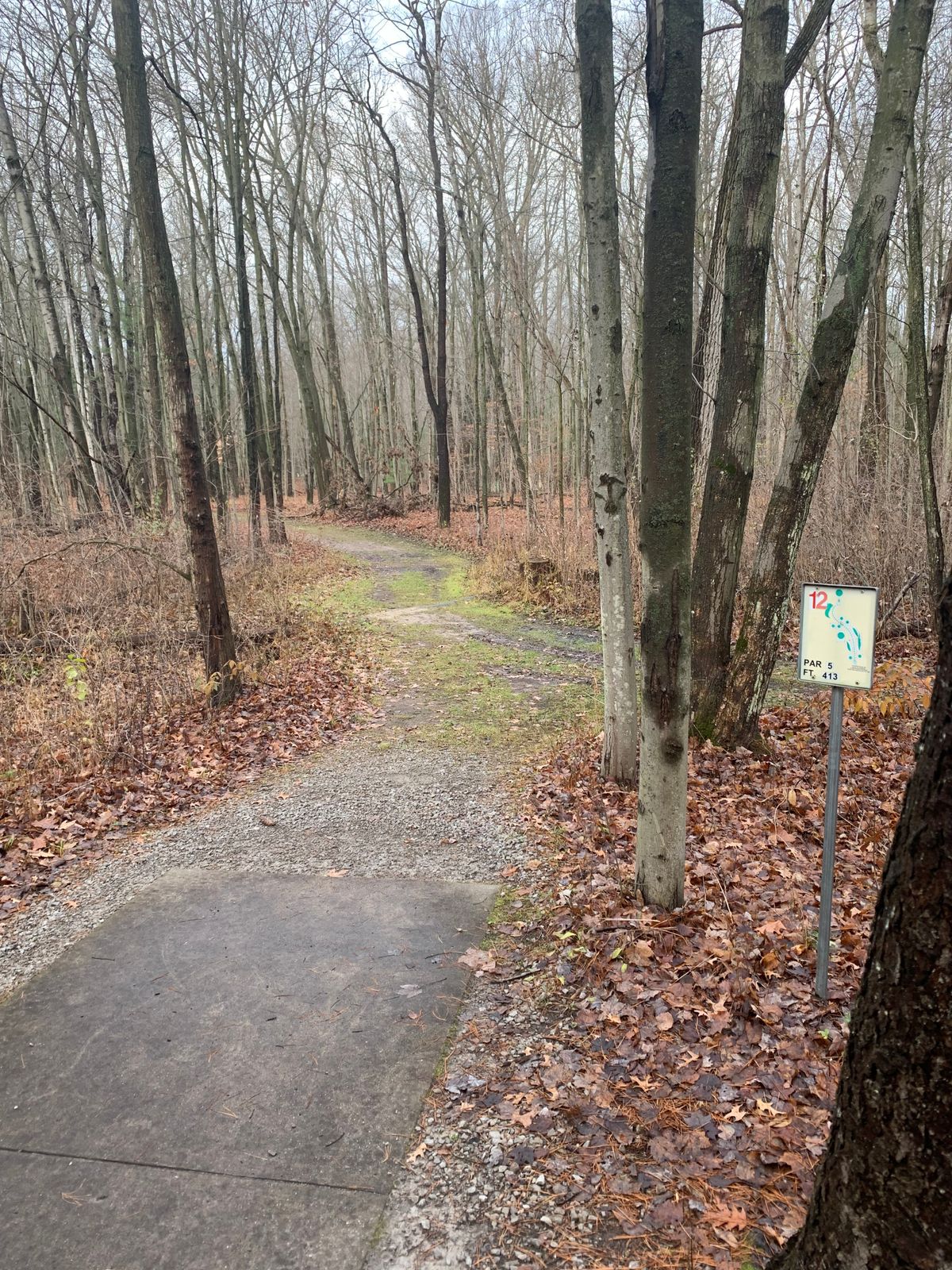 Hole 12 tee pad
