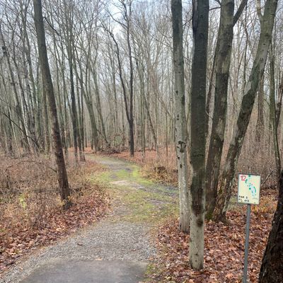 Hole 12 tee pad