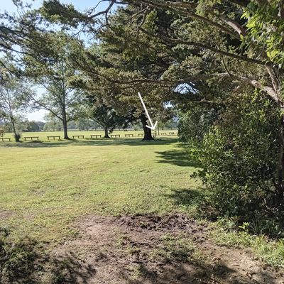 Hole 2, basket peering out from behind a tree