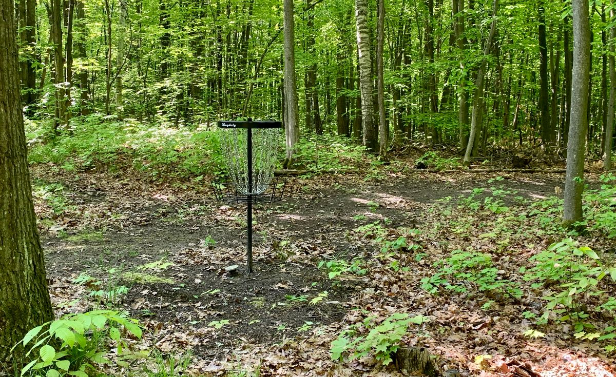 Hole 8
