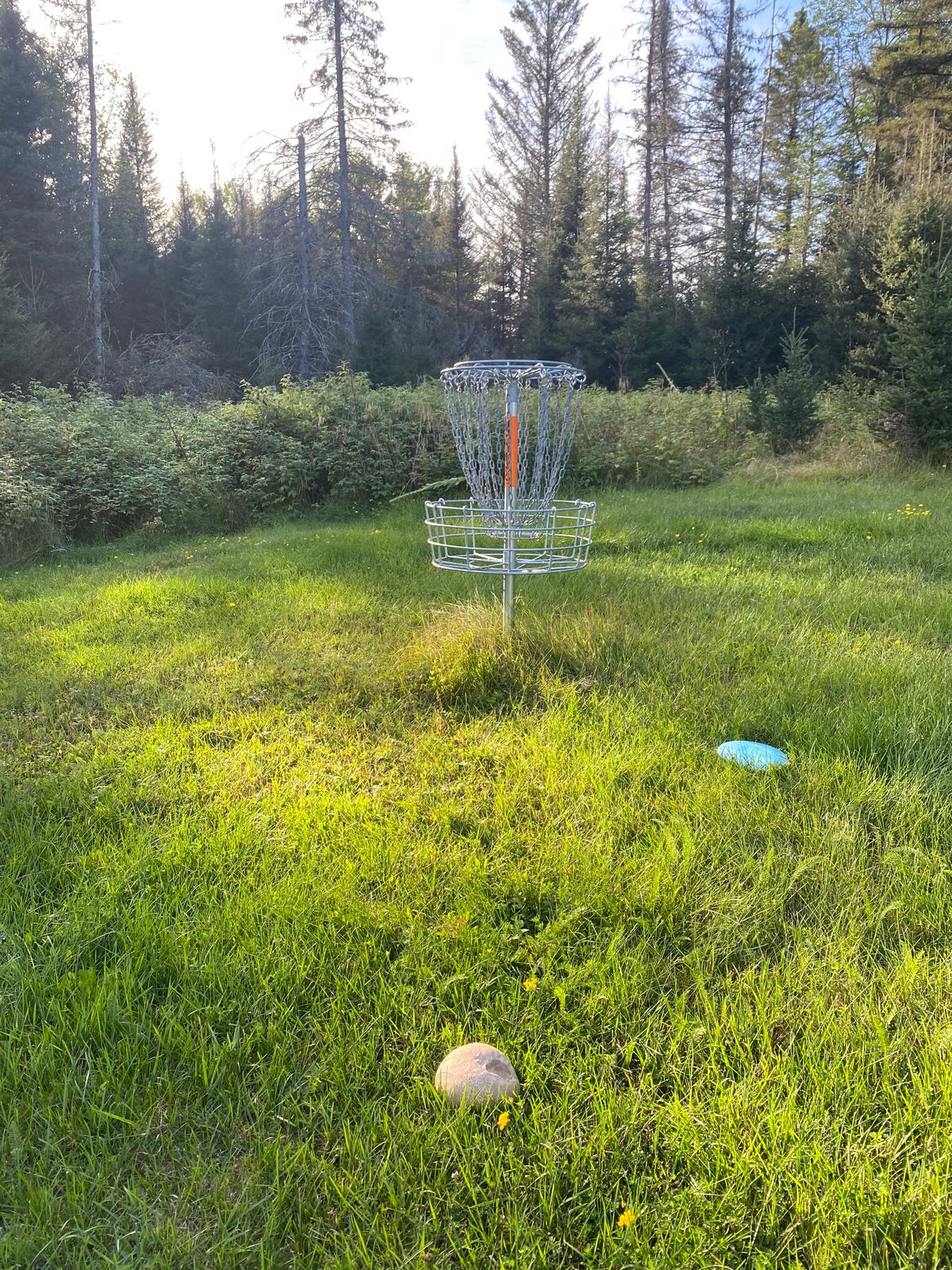 Basket for 7. Look out for the rough to the left of the tee shot.