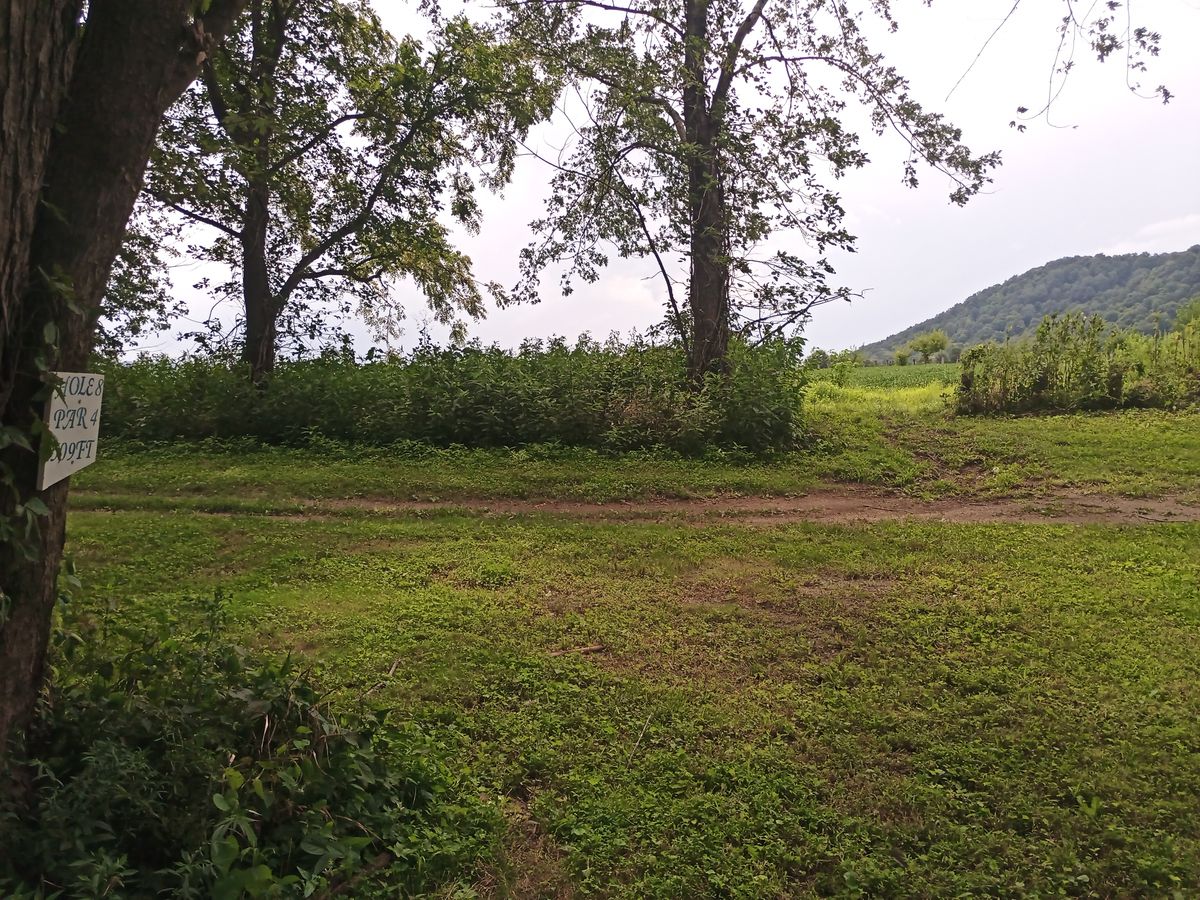 Hole 8