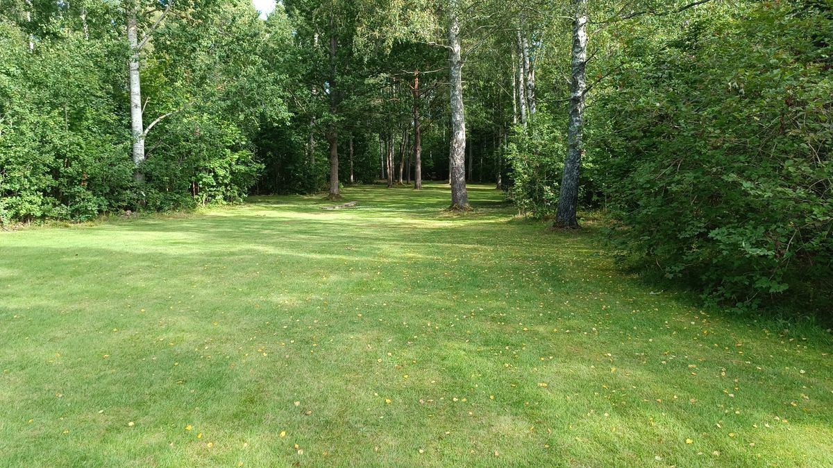 Hole 12 from dogleg