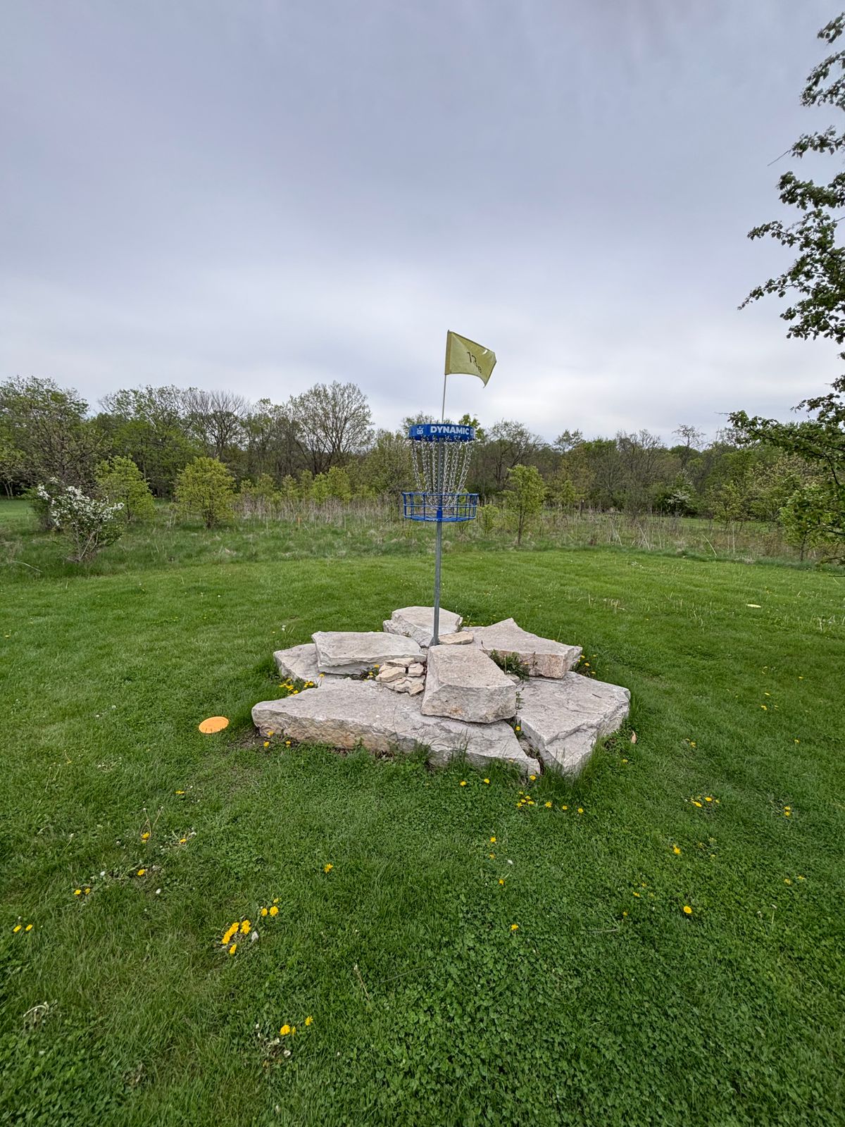 hole 13b basket