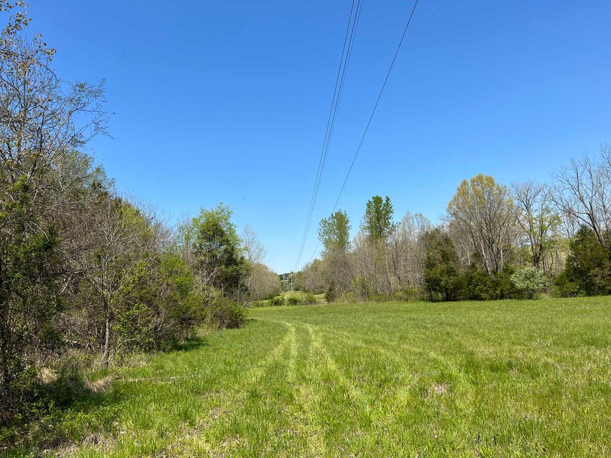 Hole 15 tee