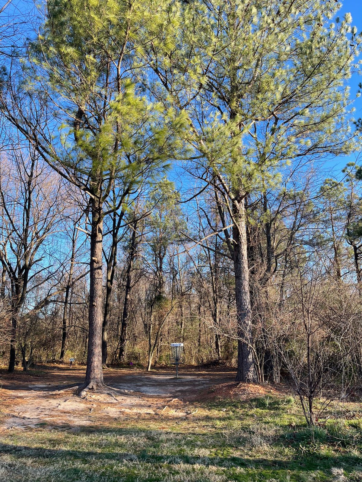 Hole 7 basket