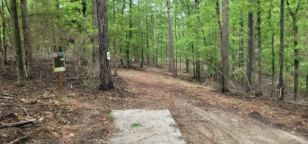 Hole 11 Red