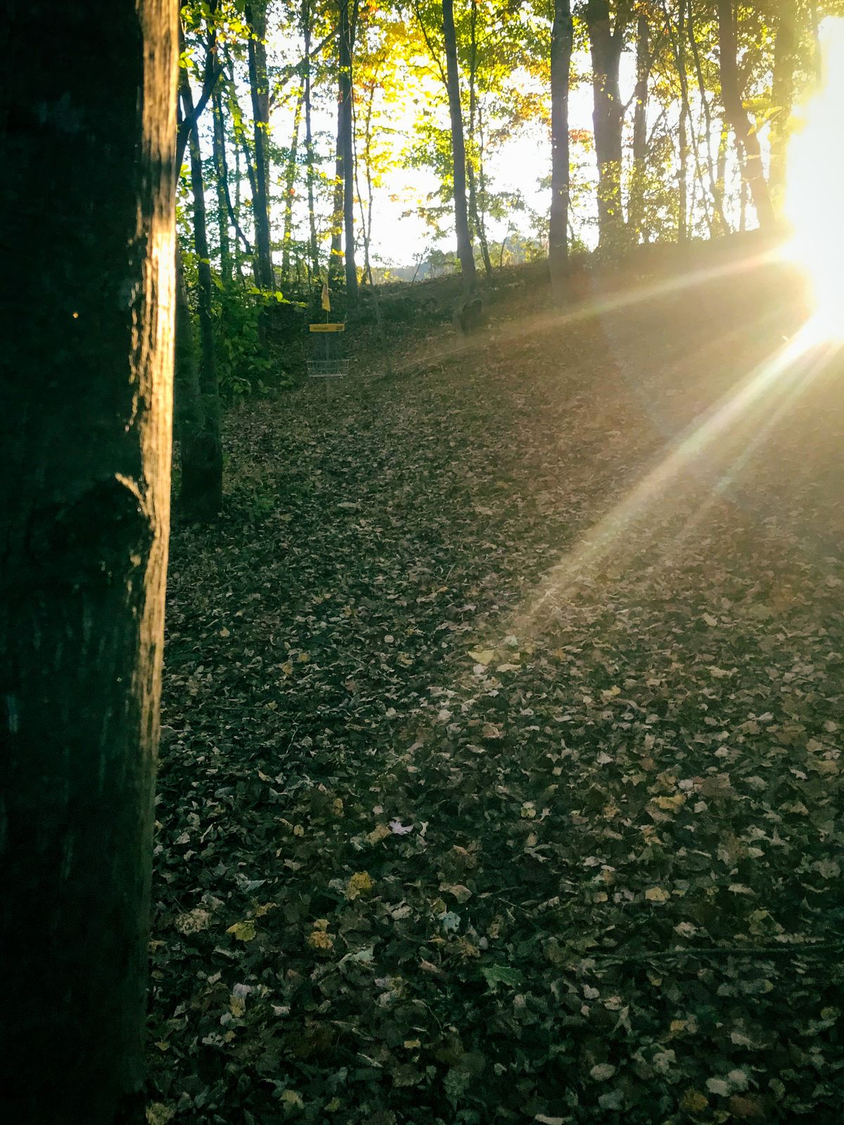 Hole 17 sunlight