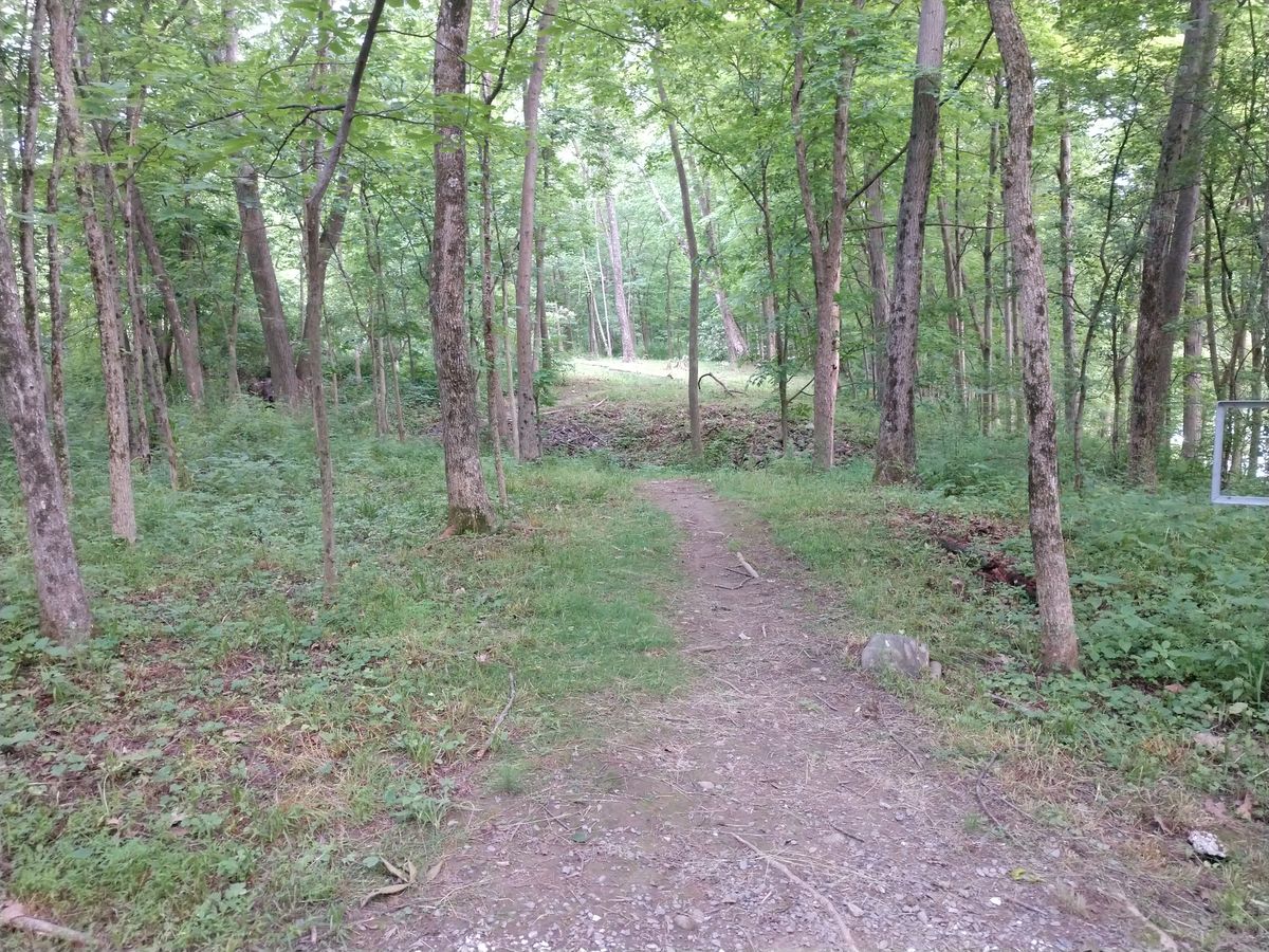 Hole 7