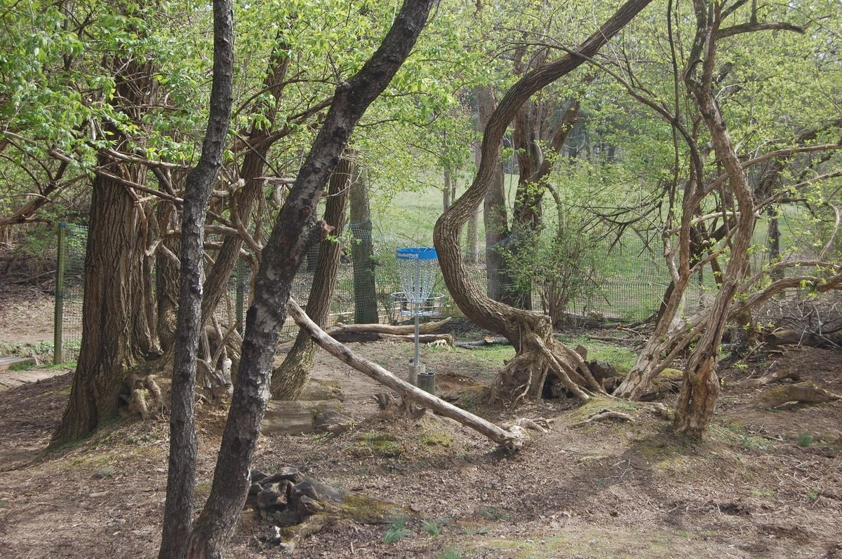 Hole 13