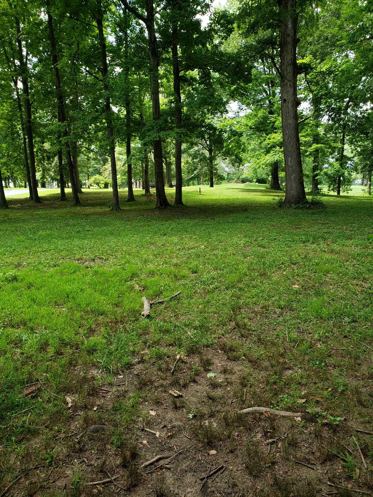 #1 Amateur Tee shot view.