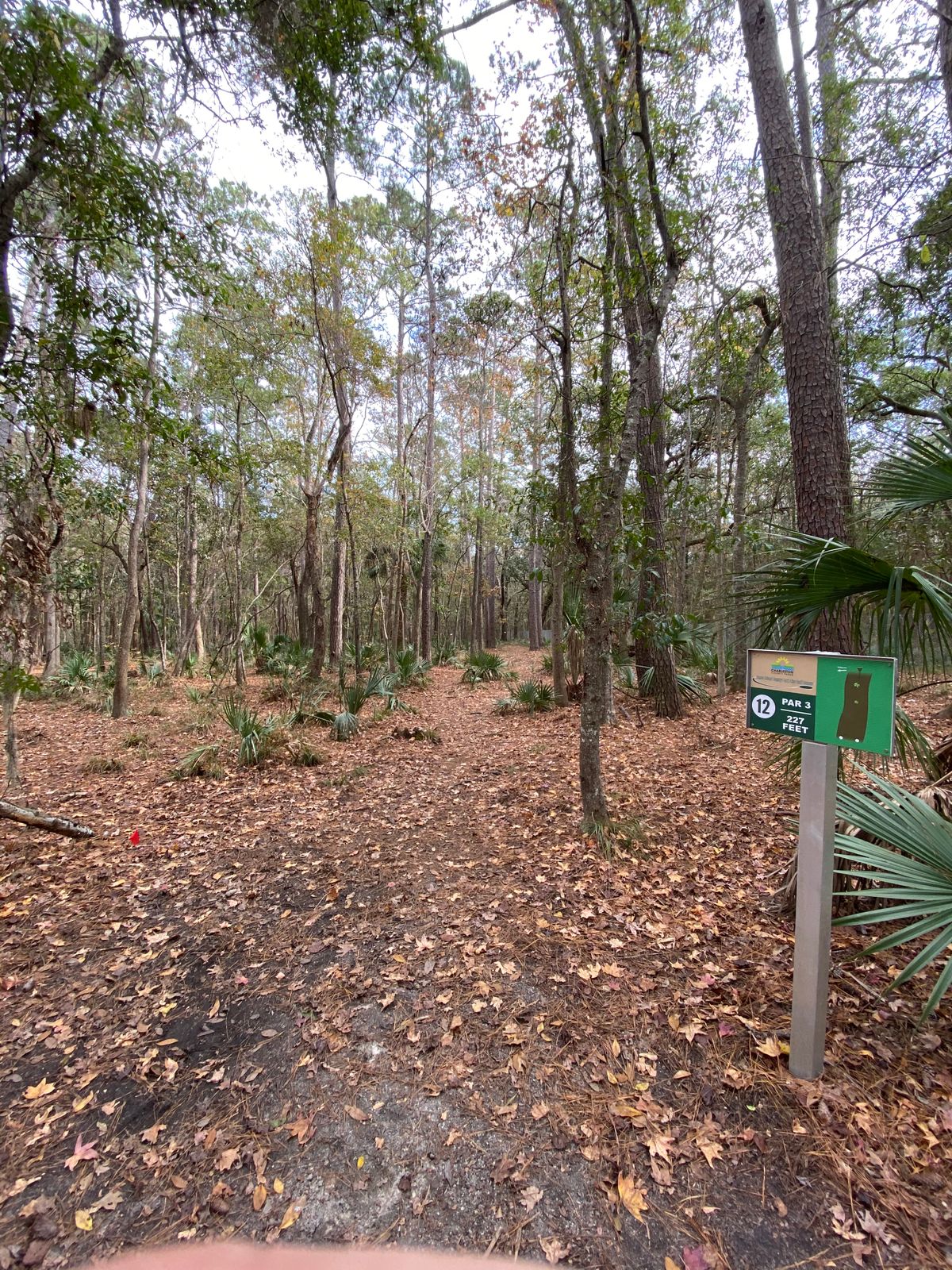 Hole 12
