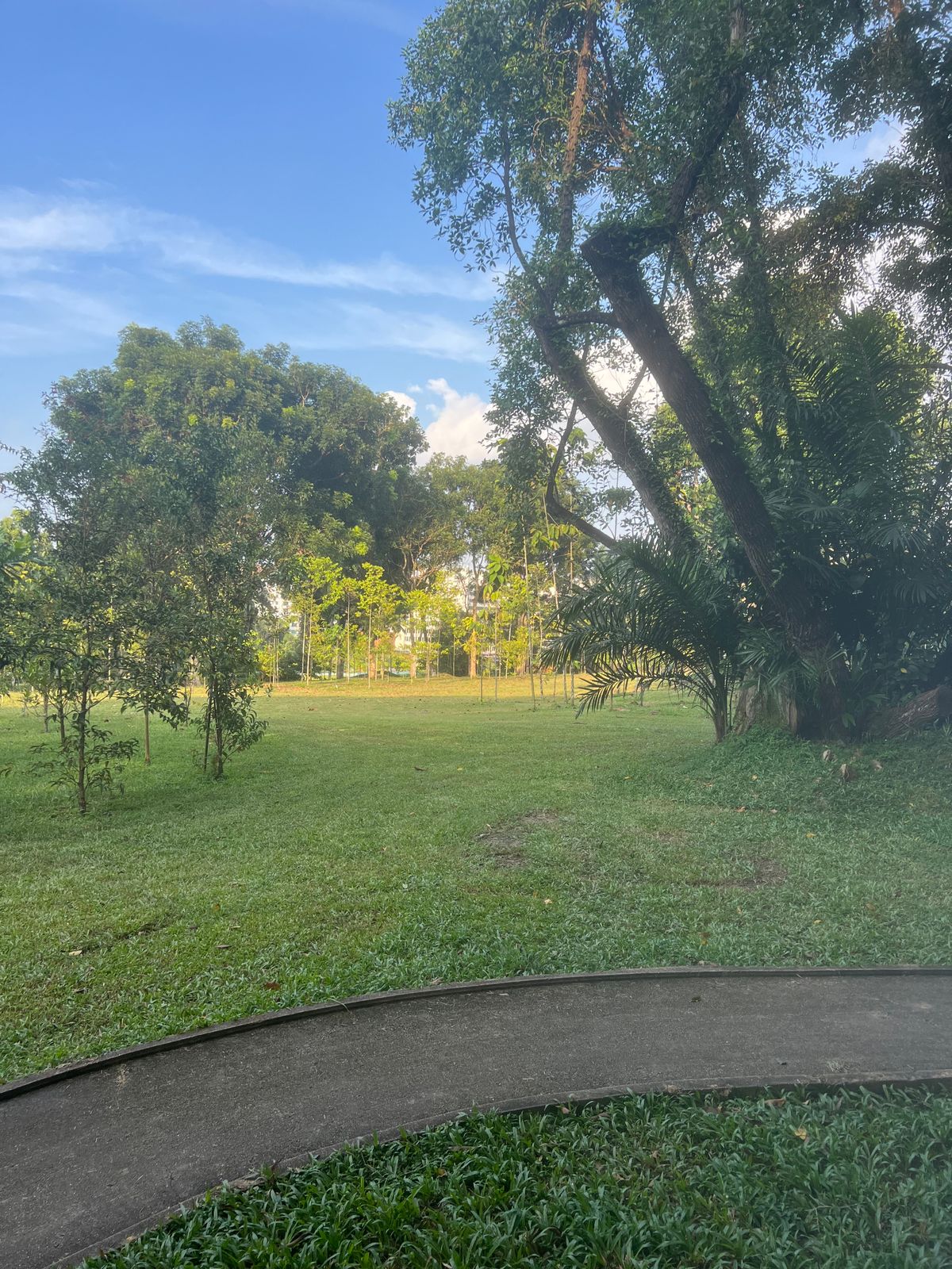 Hole 5 Tee area. Immediate dogleg R.