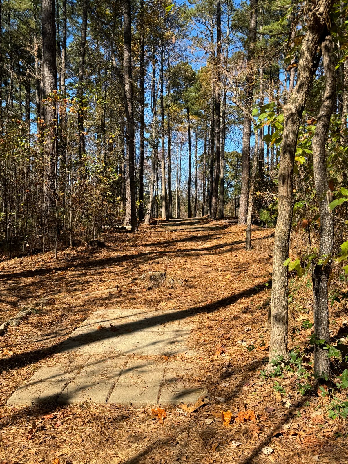 Hole 13 on a beautiful sunny fall afternoon