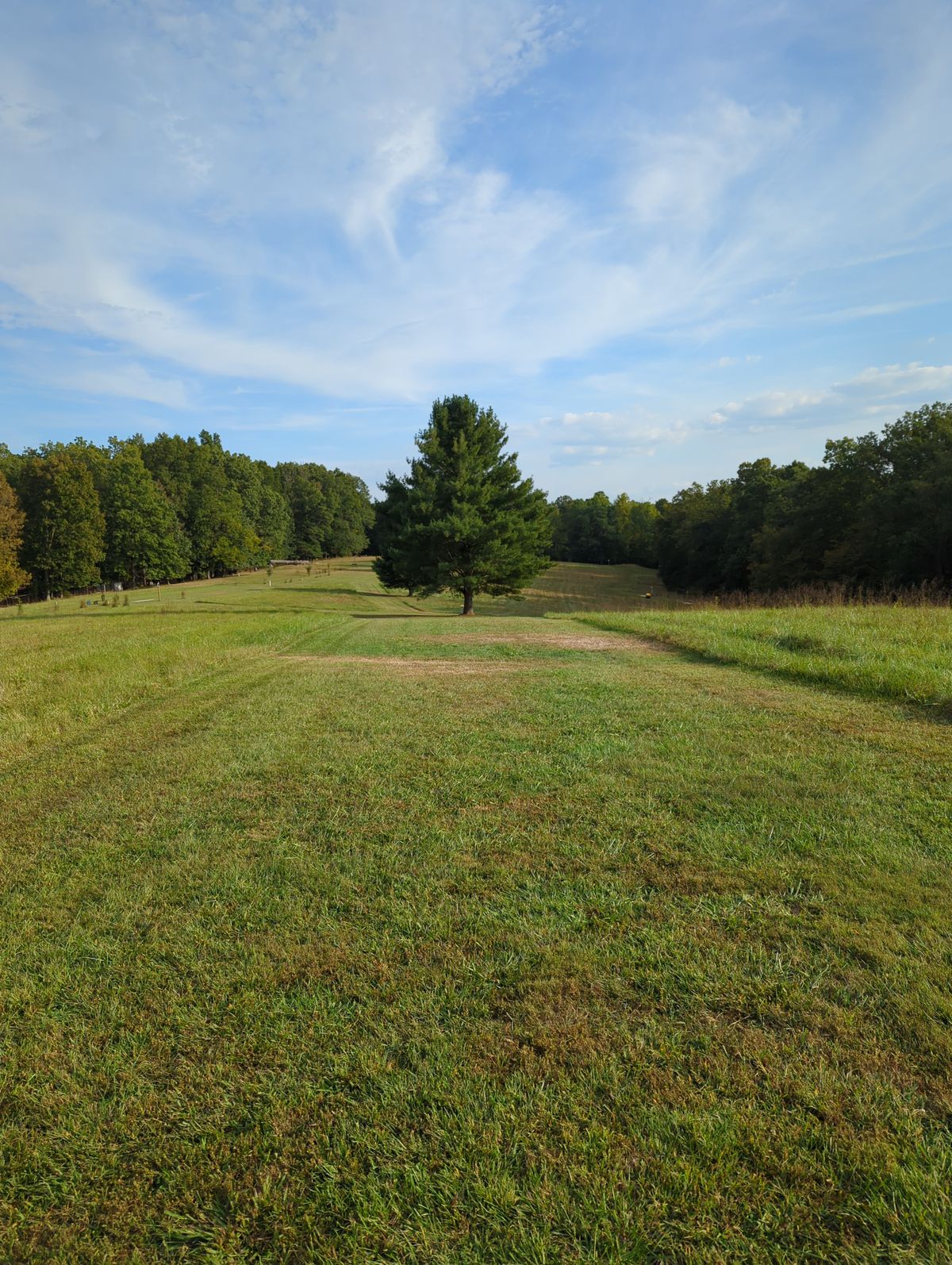Hole 13...the basket is downhill and behind that tree