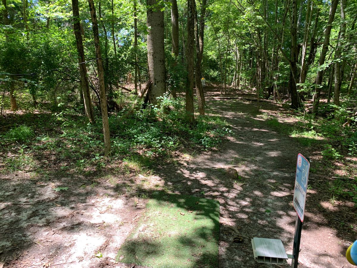 Hole 8