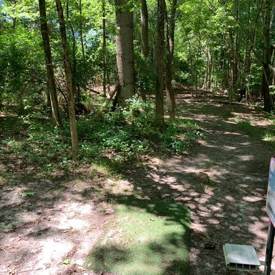 Hole 8