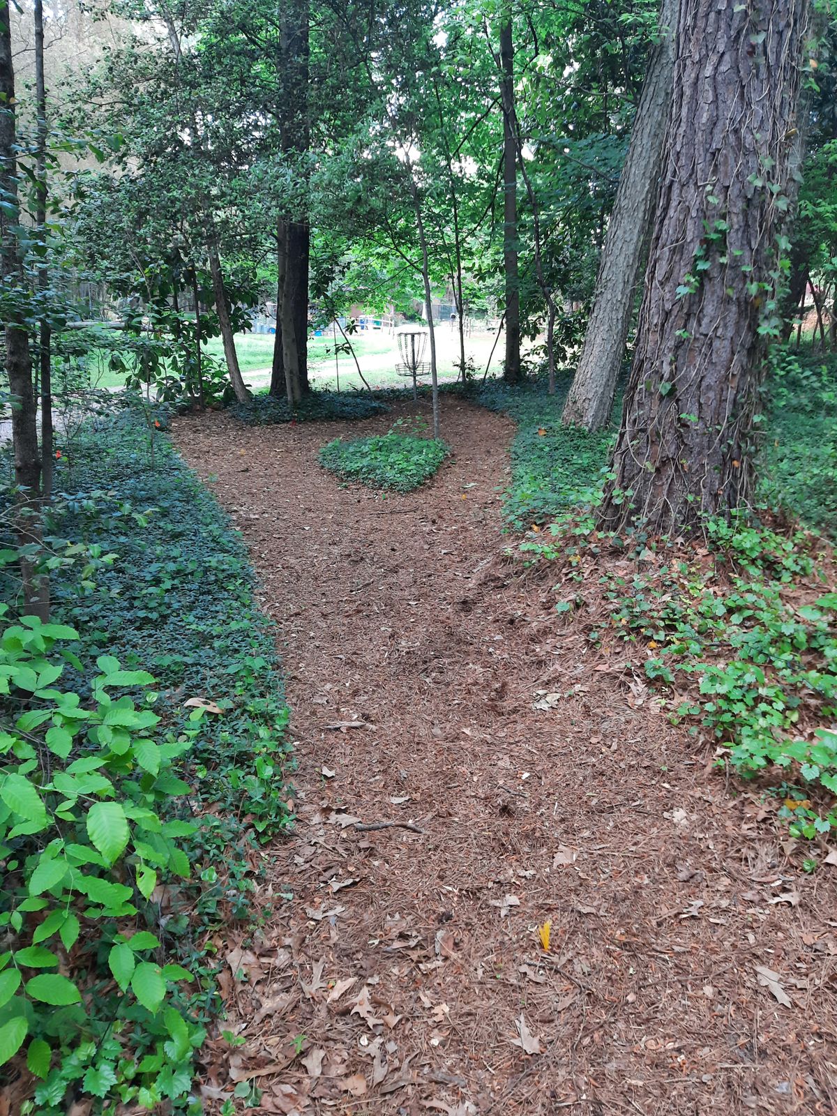 Hole 1 Red Tee
