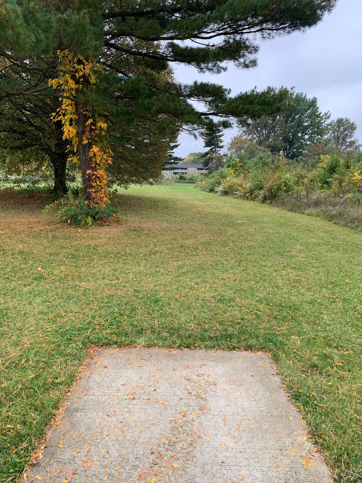 Hole 2 Blue Tee