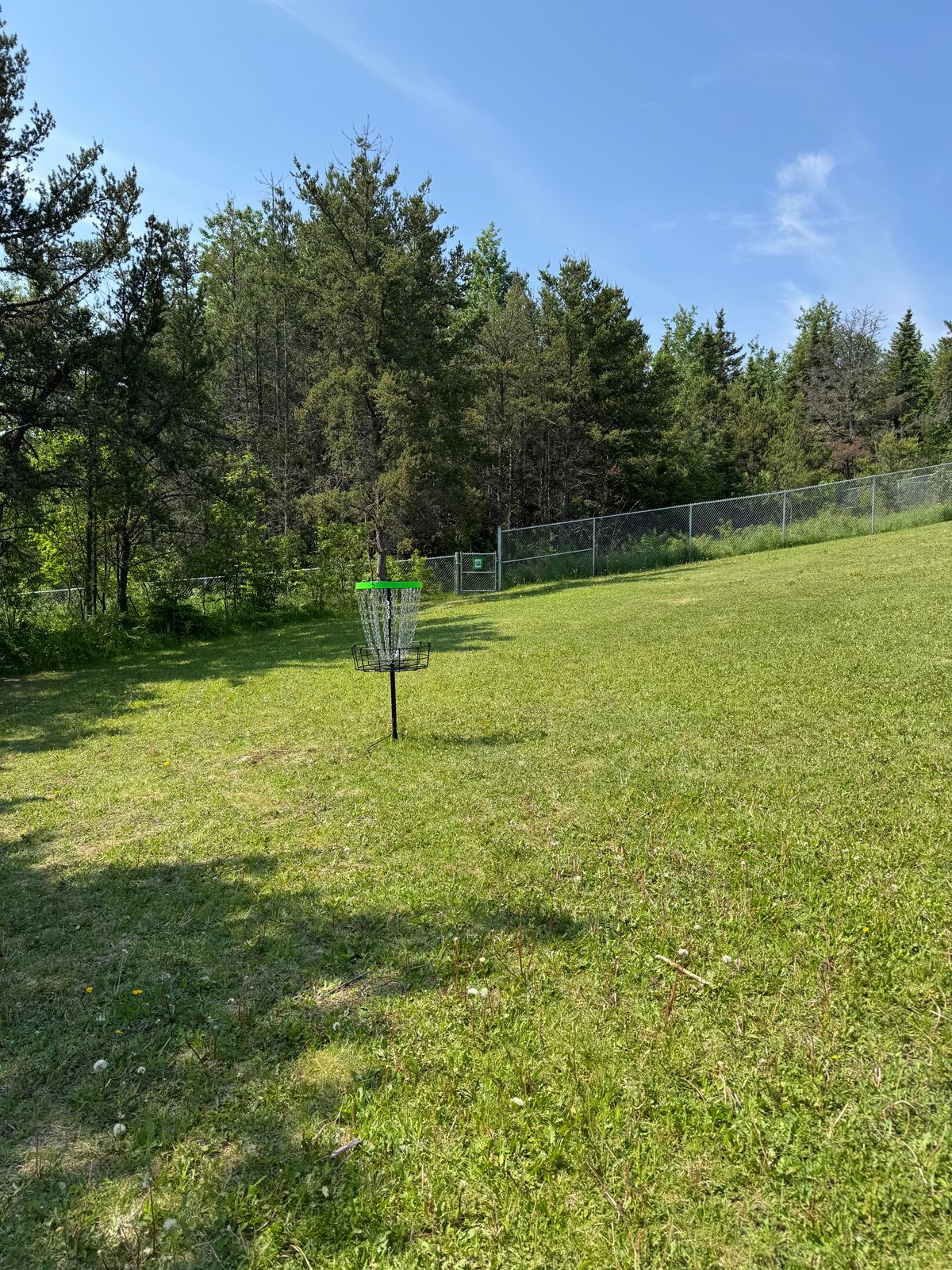 Basket Hole #5