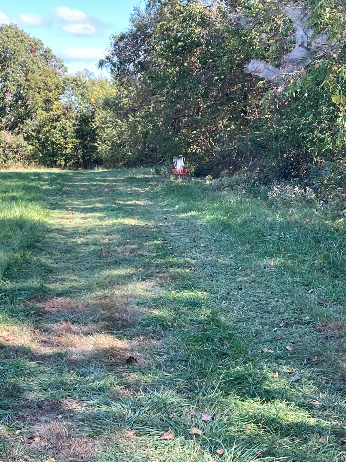 Hole 7